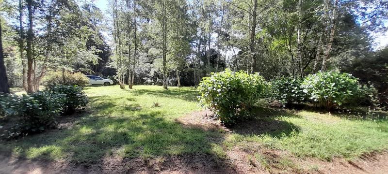 0 Bedroom Property for Sale in Hogsback Eastern Cape